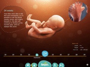 El gobernador de Virginia promulga ley que exige ecografías antes de aborto 2