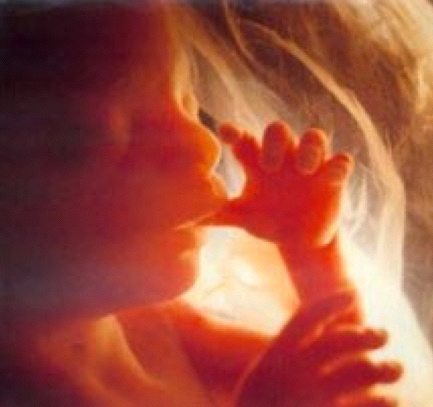 La protección de la vida y la maternidad es cuestión de todos 1