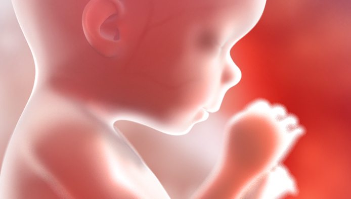 Experto chileno considera que despenalización de aborto incrementará esta práctica 1