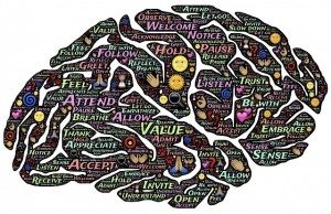brain-744207_1280(1)