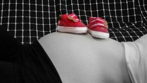 cropped-Imagen-056